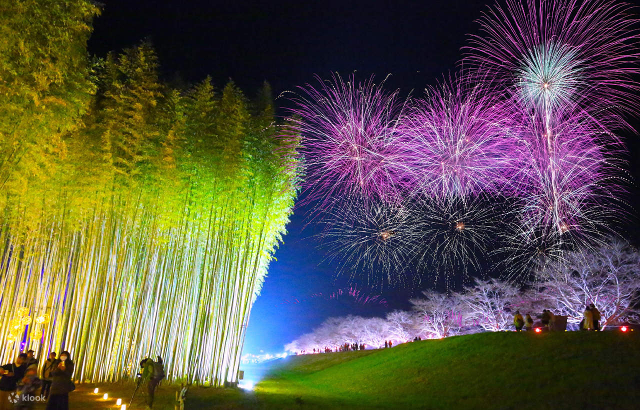 One-Day Tour: Ibaraki Rain Attraction Kannon Senbon Sakura +